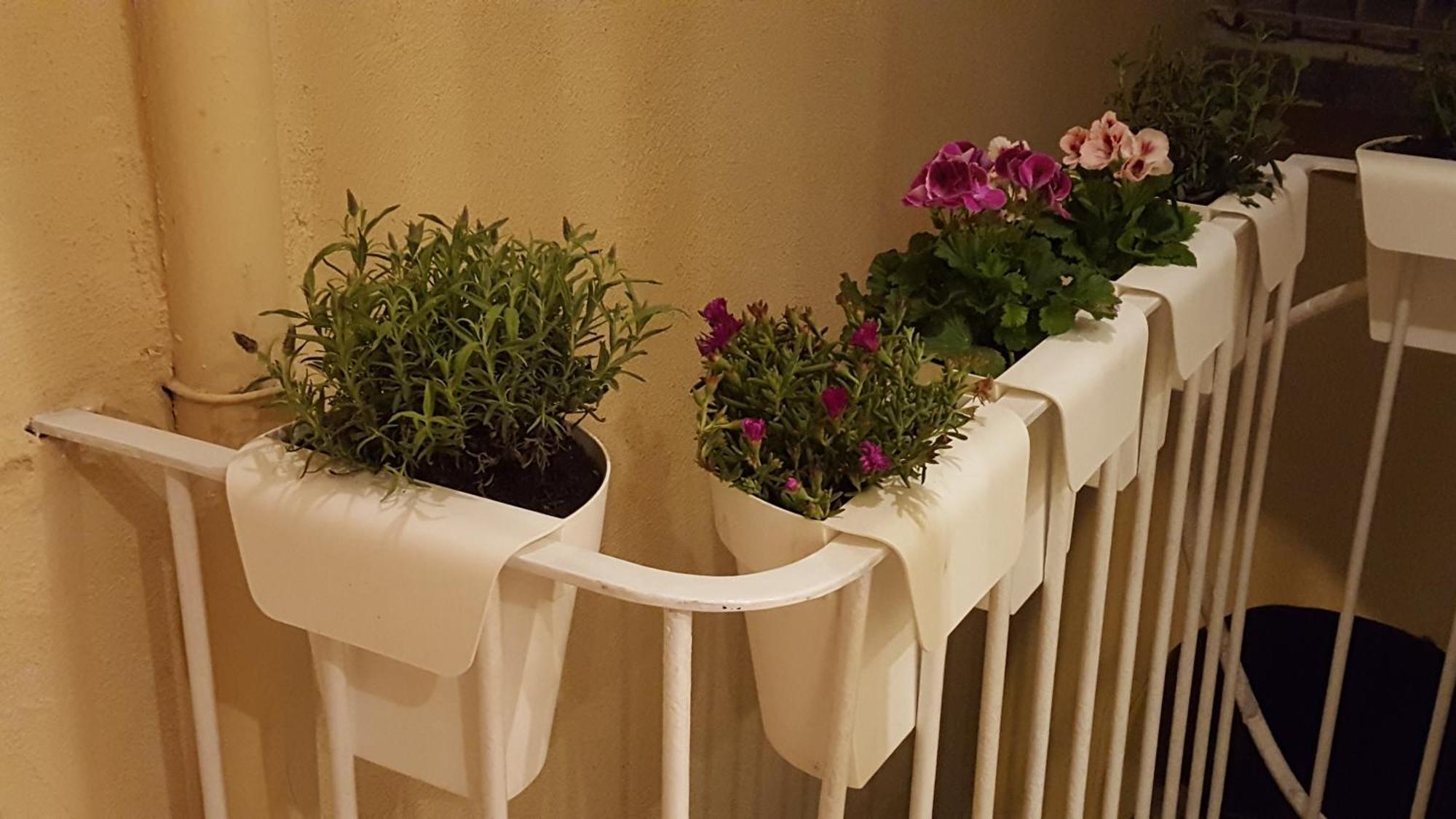 Apartment Gennarino's Naples